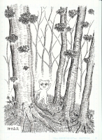 くまちゃん in woods